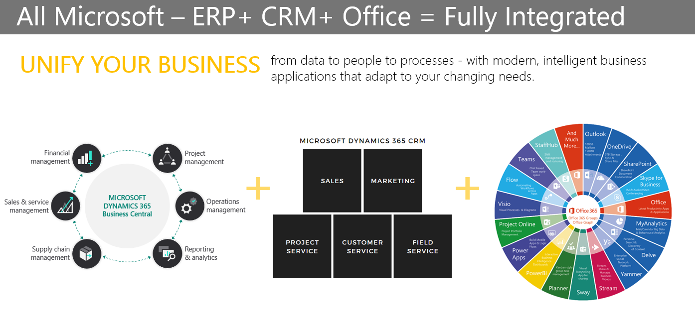 Dynamics 365 CRM for Sales and Marketing Success_3