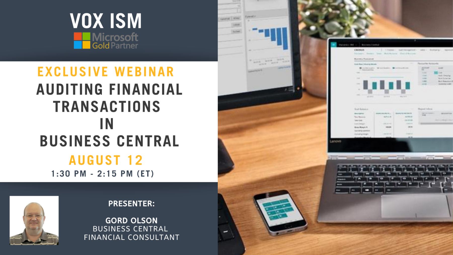 Auditing Financial Transactions in Business Central - August 12 - Webinar
